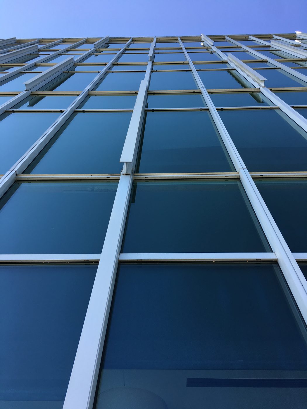 Glass curtain wall